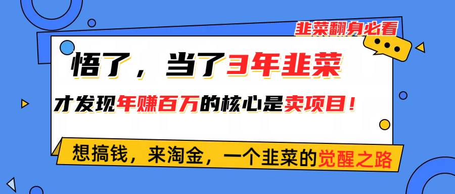 悟了，当了3年韭菜，才发现网赚圈年赚100万的核心是卖项目，含泪分享！-万利网