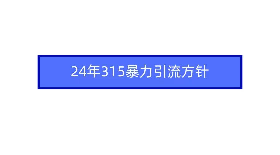 2024年315暴力引流方针-万利网