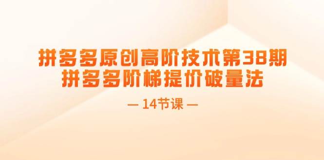 拼多多原创高阶技术第38期，拼多多阶梯提价破量法（14节课）-万利网