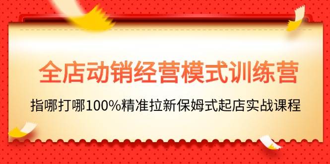 全店动销-经营模式训练营，指哪打哪100%精准拉新保姆式起店实战课程-万利网