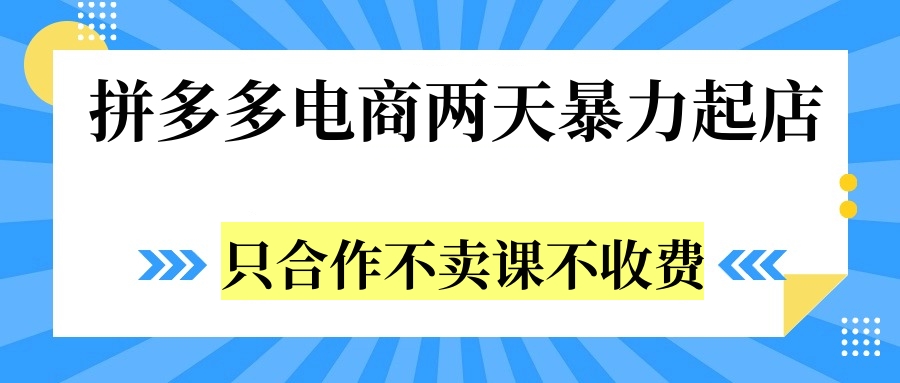 拼多多两天暴力起店，只合作不卖课不收费-万利网