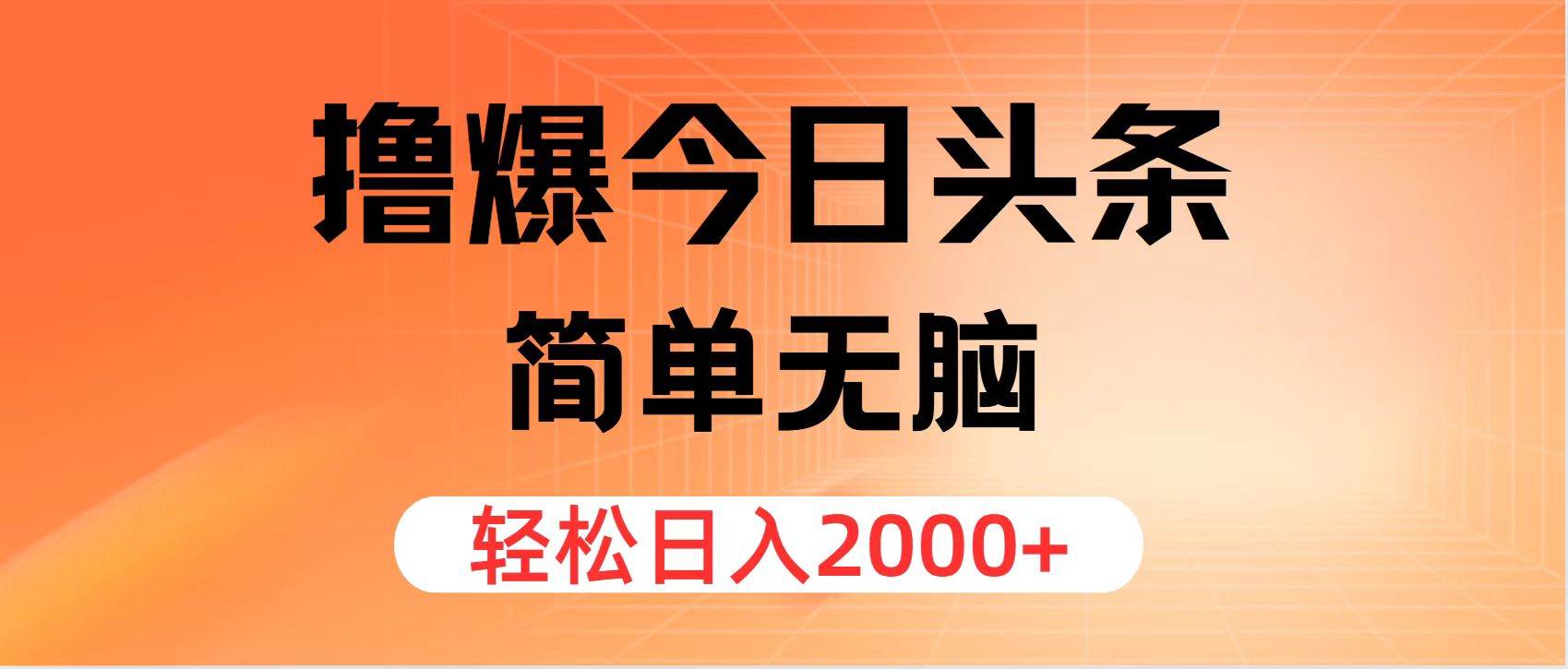 撸爆今日头条，简单无脑，日入2000+-万利网