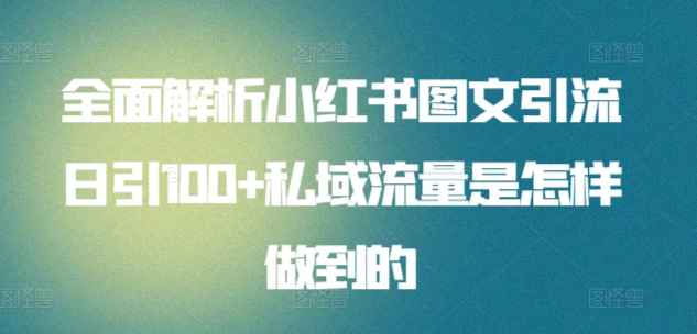 全面解析小红书图文引流日引100私域流量是怎样做到的-万利网