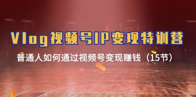 Vlog 视频号IP变现特训营，普通人如何通过视频号变现赚钱（15节）-万利网