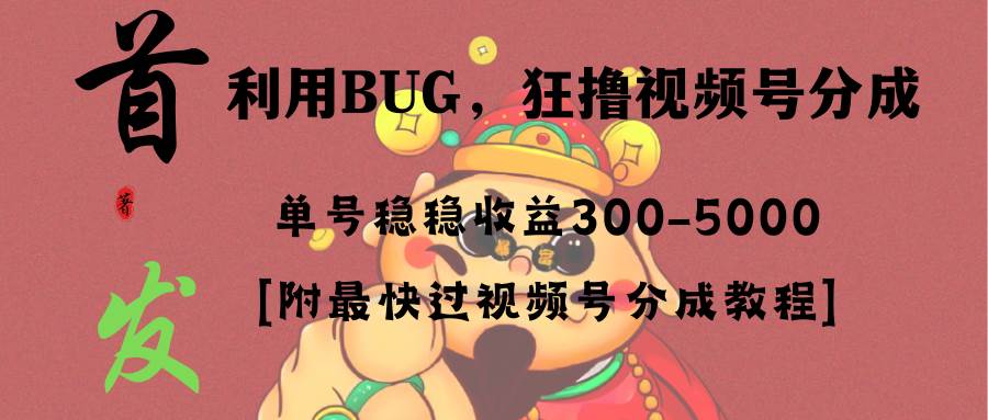 全网独家首发，视频号BUG，超短期项目，单号每日净收益300-5000！-万利网