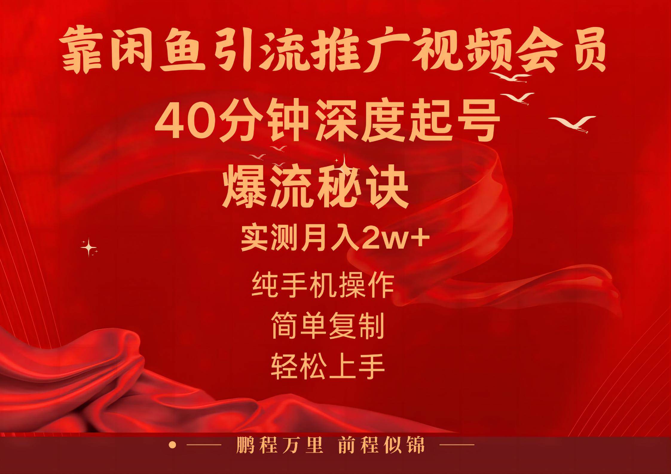 闲鱼暴力引流推广视频会员，能做到日入2W+，操作简单-万利网