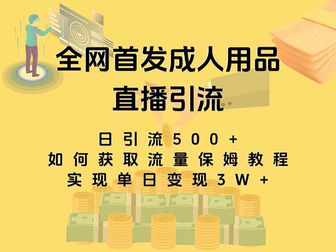 最新全网独创首发，成人用品直播引流获客暴力玩法，单日变现3w保姆级教程-万利网