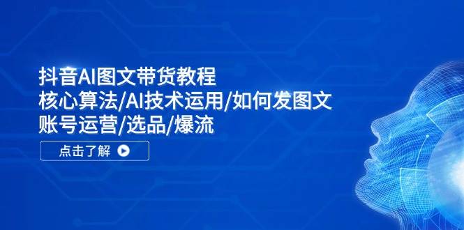 抖音AI图文带货教程：核心算法/AI技术运用/如何发图文/账号运营/选品/爆流-万利网