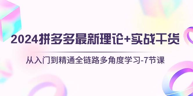 2024拼多多 最新理论+实战干货，从入门到精通全链路多角度学习-7节课-万利网
