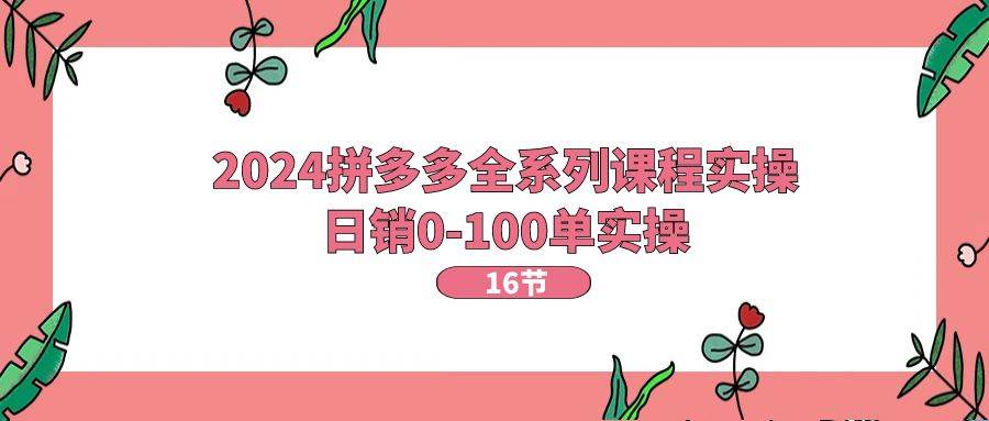 2024拼多多全系列课程实操，日销0-100单实操【16节课】-万利网