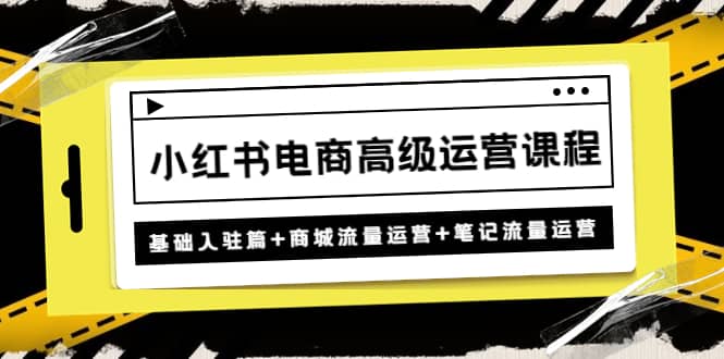 小红书电商高级运营课程：基础入驻篇+商城流量运营+笔记流量运营-万利网