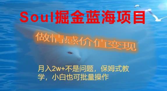 Soul掘金蓝海项目细分赛道，做情感价值变现，月入2w+不是问题-万利网