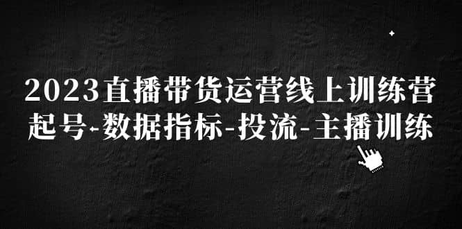 2023直播带货运营线上训练营，起号-数据指标-投流-主播训练-万利网