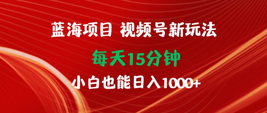 蓝海项目视频号新玩法 每天15分钟 小白也能日入1000+-万利网