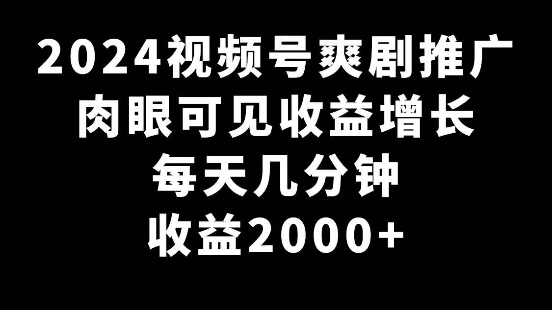 2024视频号爽剧推广，肉眼可见的收益增长，每天几分钟收益2000+-万利网