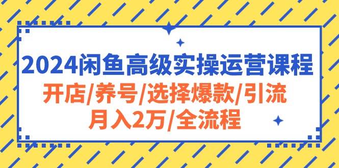 2024闲鱼高级实操运营课程：开店/养号/选择爆款/引流/月入2万/全流程-万利网