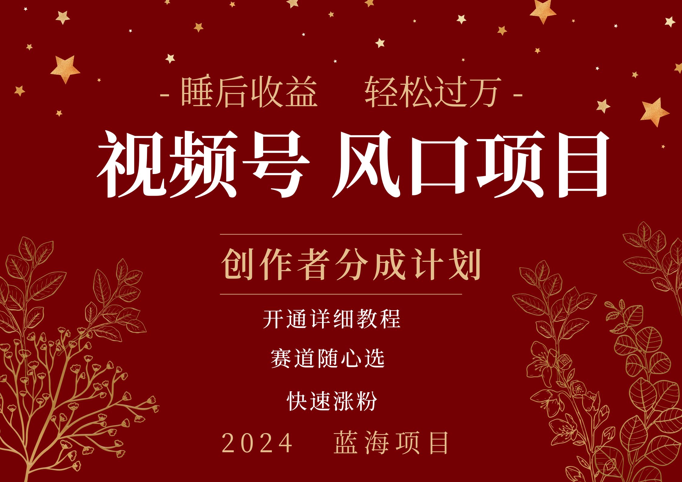 拥有睡眠收益的微信视频号大风口项目，轻松月入过万+，多赛道选择，可矩阵，玩法简单轻松上手-万利网