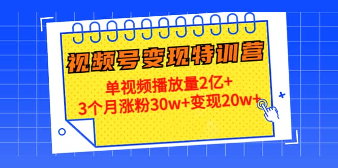 20天视频号变现特训营：单视频播放量2亿+-万利网