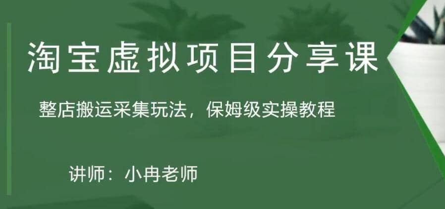 淘宝虚拟整店搬运采集玩法分享课：整店搬运采集玩法，保姆级实操教程-万利网