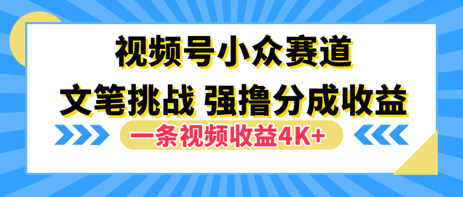 视频号小众赛道，文笔挑战，一条视频收益4K+-万利网