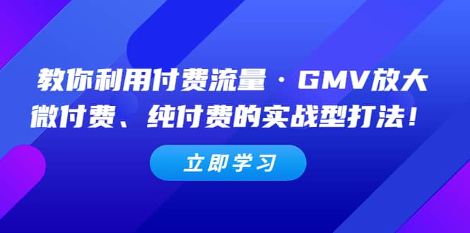 教你利用付费流量·GMV放大，微付费、纯付费的实战型打法-万利网