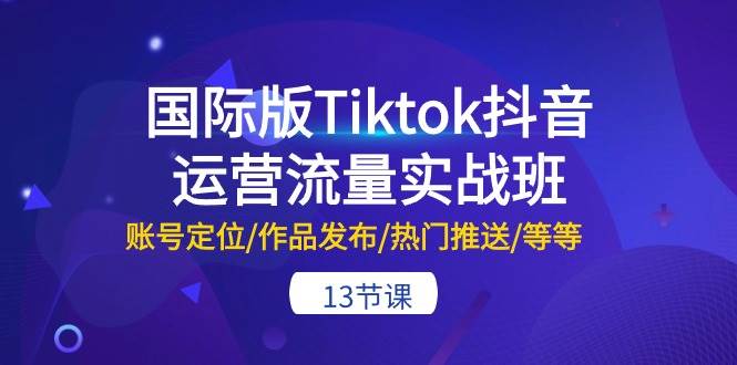 国际版Tiktok抖音运营流量实战班：账号定位/作品发布/热门推送/等等-13节-万利网