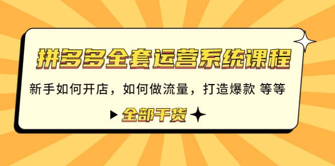 拼多多全套运营系统课程：新手如何开店 如何做流量 打造爆款 等等 全部干货-万利网