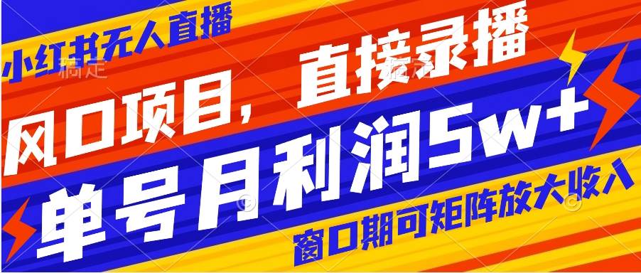 风口项目，小红书无人直播带货，直接录播，可矩阵，月入5w+-万利网