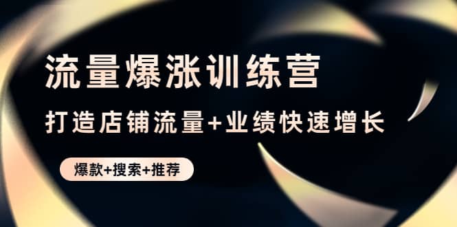 流量爆涨训练营：打造店铺流量+业绩快速增长 (爆款+搜索+推荐)-万利网