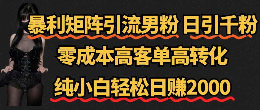 暴利矩阵引流男粉（日引千粉），零成本高客单高转化，纯小白轻松日赚2000+-万利网