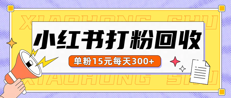 小红书打粉，单粉15元回收每天300+-万利网