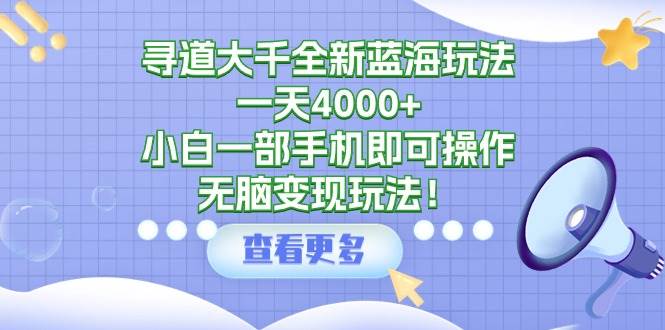 寻道大千全新蓝海玩法，一天4000+，小白一部手机即可操作，无脑变现玩法！-万利网