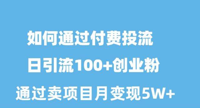 如何通过付费投流日引流100+创业粉月变现5W+-万利网