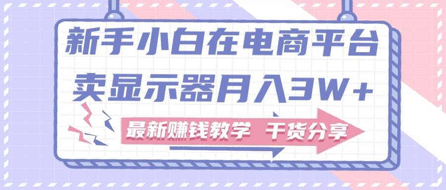 新手小白如何做到在电商平台卖显示器月入3W+，最新赚钱教学干货分享-万利网