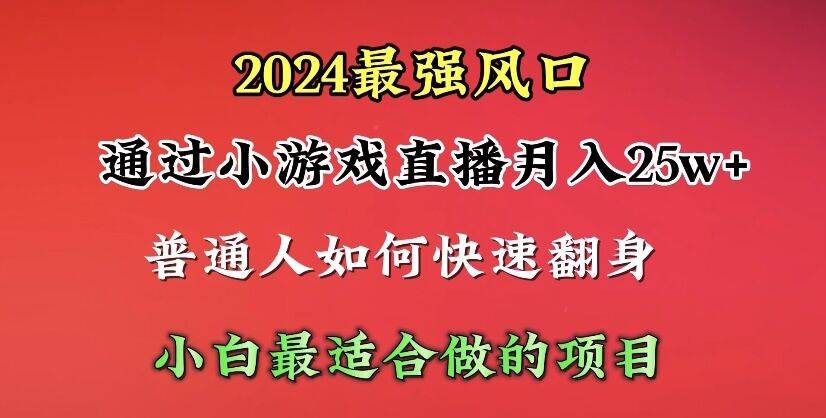 2024年最强风口，通过小游戏直播月入25w+单日收益5000+小白最适合做的项目-万利网