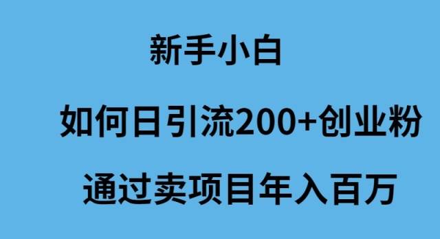 新手小白如何日引流200+创业粉通过卖项目年入百万-万利网
