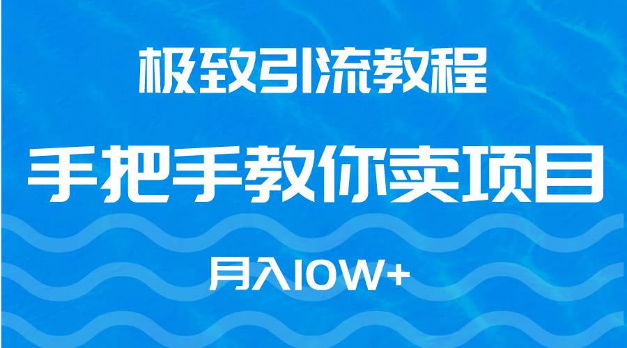 极致引流教程，手把手教你卖项目，月入10W+-万利网