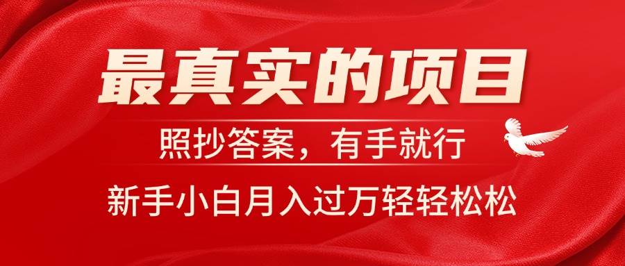 最真实的项目，照抄答案，有手就行，新手小白月入过万轻轻松松-万利网