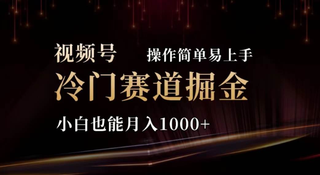 2024视频号冷门赛道掘金，操作简单轻松上手，小白也能月入1000+-万利网