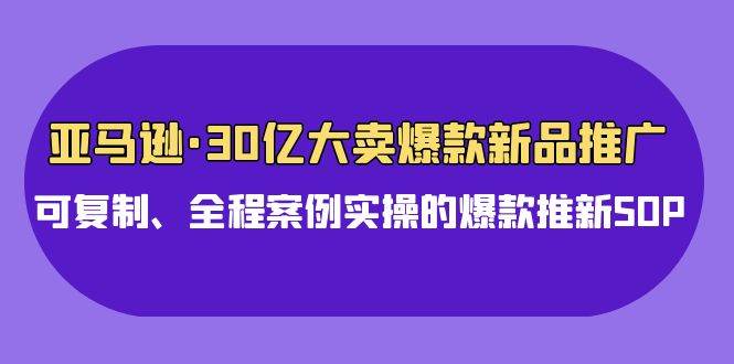 亚马逊30亿·大卖爆款新品推广，可复制、全程案例实操的爆款推新SOP-万利网