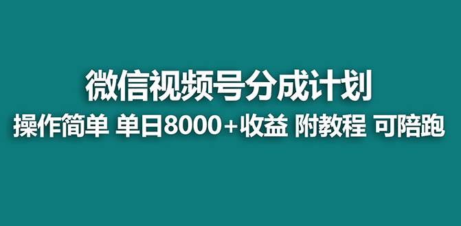 【蓝海项目】视频号分成计划，单天收益8000+，附玩法教程！可陪跑-万利网