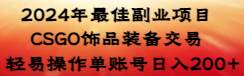 2024年最佳副业项目 CSGO饰品装备交易 轻易操作单账号日入200+-万利网