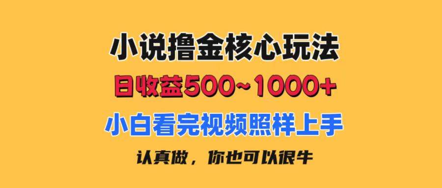小说撸金核心玩法，日收益500-1000+，小白看完照样上手，0成本有手就行-万利网