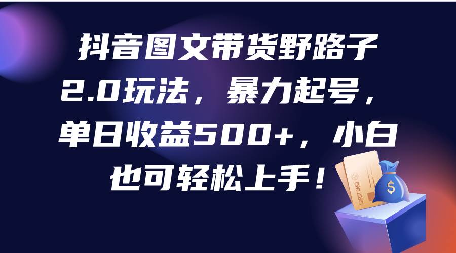 抖音图文带货野路子2.0玩法，暴力起号，单日收益500+，小白也可轻松上手！-万利网