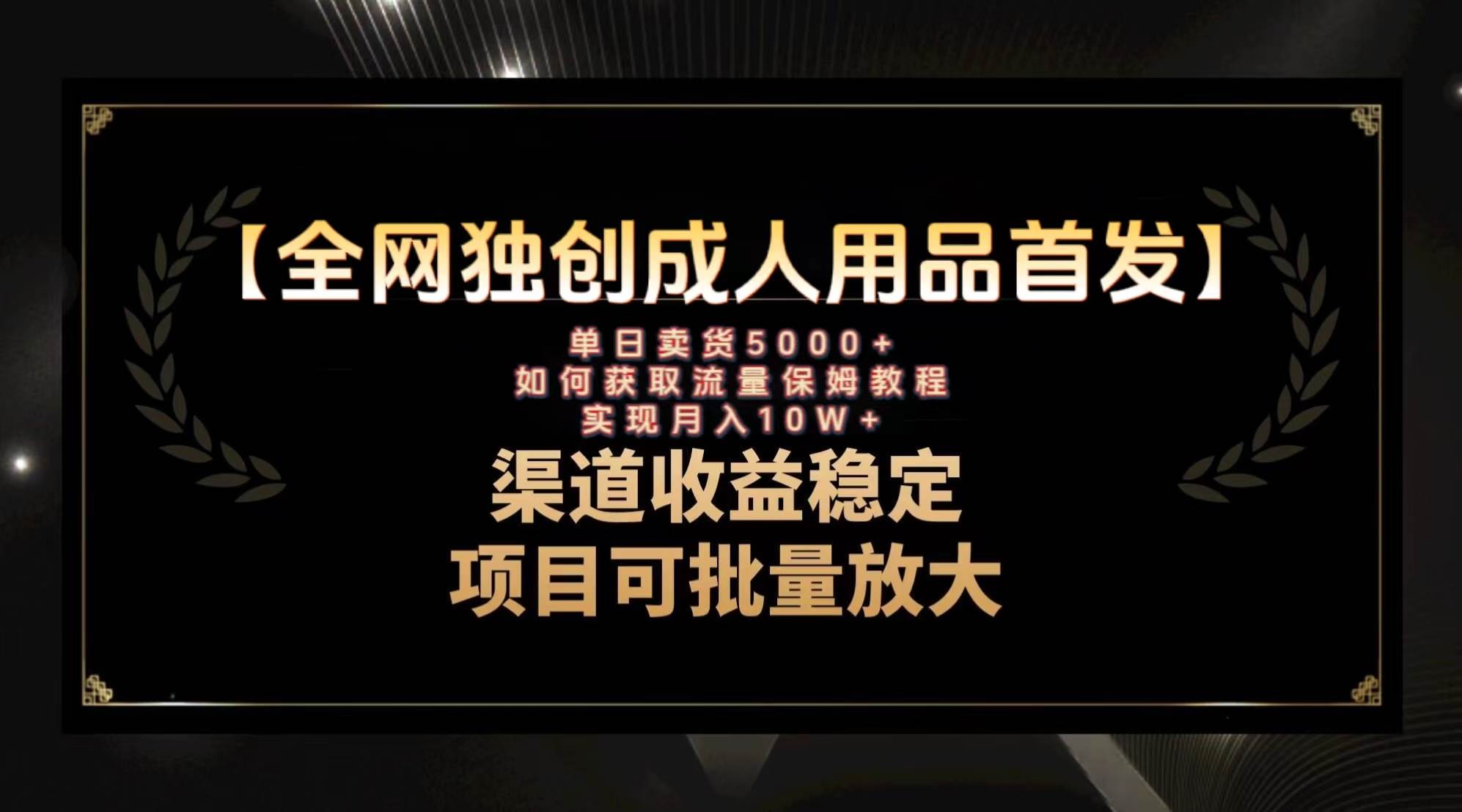 最新全网独创首发，成人用品赛道引流获客，月入10w保姆级教程-万利网