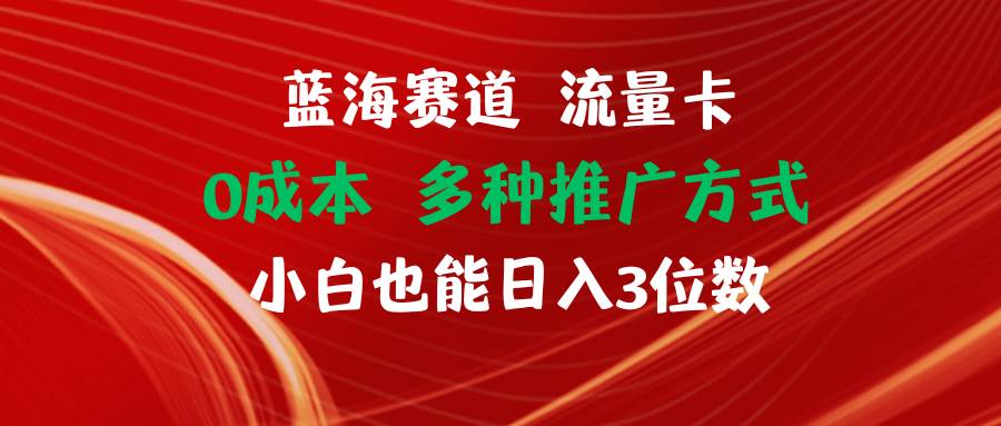 蓝海赛道 流量卡 0成本 小白也能日入三位数-万利网