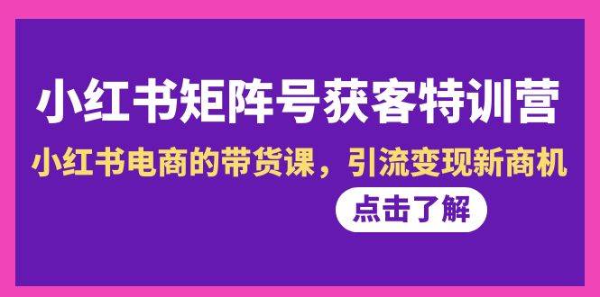 小红书-矩阵号获客特训营-第10期，小红书电商的带货课，引流变现新商机-万利网