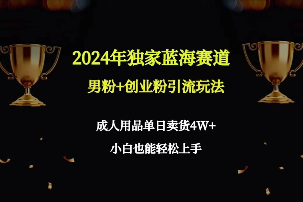 2024年独家蓝海赛道男粉+创业粉引流玩法，成人用品单日卖货4W+保姆教程-万利网
