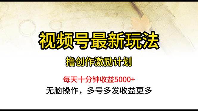 视频号最新玩法，每日一小时月入5000+-万利网