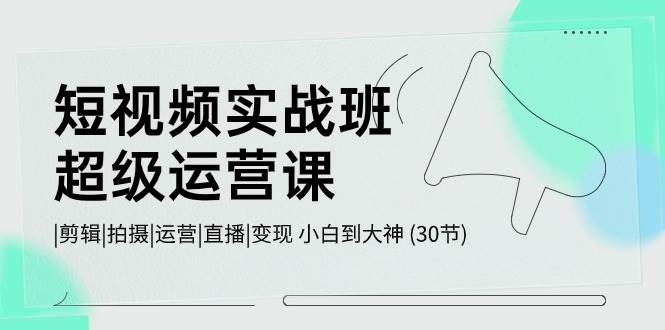 短视频实战班-超级运营课，|剪辑|拍摄|运营|直播|变现 小白到大神 (30节)-万利网